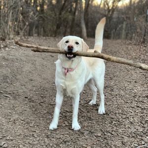 Meet your Posher, Clare